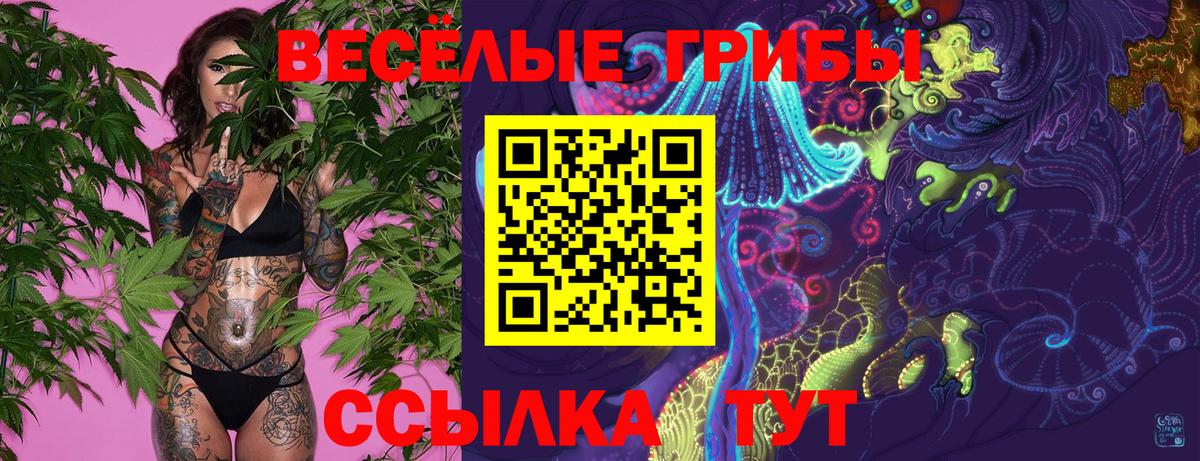 Галлюциногенные грибы мухоморы  как найти наркотики  Вход с VPN  Новочебоксарск  Псилоцибиновые грибы мухоморы 
